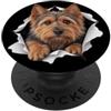 4AustralianTerrierLovers Divertente Australian Terrier che sbircia carino amante dei cani mamma papà PopSockets PopGrip Adesivo