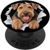 4AiredaleTerrierLovers Divertente Airedale Terrier che sbircia carino amante dei cani mamma papà PopSockets PopGrip Adesivo