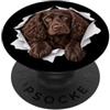 4BoykinSpanielLovers Divertente Boykin Spaniel Sbirciando Carino Amante Del Cane Mamma Papà PopSockets PopGrip Adesivo