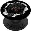 4BarbetLovers Divertente Barbet Sbirciando Carino Amante Del Cane Mamma Papà PopSockets PopGrip Adesivo
