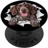 4GermanShorthairedPointerLovers Divertente tedesco a pelo corto puntatore che sbircia carino amante dei cani mamma PopSockets PopGrip Adesivo