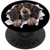 4AmericanEnglishCoonhoundLovers Divertente Americano Inglese Coonhound Sbirciando Carino Cane Amante Mamma PopSockets PopGrip Adesivo