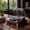 Giradischi con Altoparlanti Integrati 3 per Ufficio, Audiofili