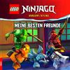 LEGO® NINJAGO® - Meine besten Freunde: Dragons Rising (Copertina rigida)