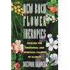 Dietmar Krämer New Bach Flower Therapies (Tascabile)