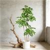 Kmitang Albero di gomma artificiale da 76-140 cm, piante finte di baniano, foglie di fico in plastica, ramo di fico tropicale per decorazioni domestiche e da giardino