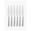 Sola Switzerland Set di 6 coltelli da bistecca con scatola magnetica Miracle - Argento