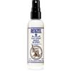 Reuzel Clay Spray 100 ml
