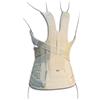 Tenortho Tutore dorsolombare con busto tipo taylor tenortho hyda
