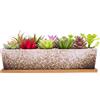 ARTKETTY Vasi per piante grasse, grandi, 30 cm, vassoio di drenaggio, lunghi rettangolari in ceramica per cactus/piante grasse da interni, bonsai poco profondi, per decorazione domestica e giardino (bianco)