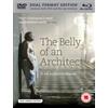 BFI The Belly of an Architect (DVD) Chloe Webb Sergio Fantoni Stefania Casini