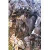 Mark Buckingham Leonardo Rizzi Bill Willin Fables deluxe (Vol (Copertina rigida)