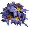SONSMER Fiore di loto essiccato 20 g, fiori blu commestibili per decorazione di torte, tè alle erbe, cocktail, dessert, gioielli in resina, candele, cera da sciogliere, arte con fiori pressati, bagno e