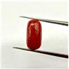 Red Coral Gemstone, Naturale Corallo Cab loose gemstone 5.15 Cts, 14x7mm