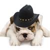 Generic Cappello da cowboy per cane gatto Halloween Party Caps con sottogola | Piccolo animale domestico cowboy costume cappello per Natale, compleanno, carnevale, feste, vacanze, uso quotidiano