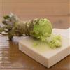 Generic Semi di wasabi - per gli amanti del giardino Eutrema wasabi, antiche varietà semi di acquistare da orto invernale biologiche 400pcs