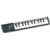 Bontempi 15 2500 Auto Concertina a 25 Tasti, 400x72x35 mm | Passo Medio, Esperienza Musicale Intima e Affascinante, Multicolore, Media