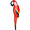 Boland - Pappagallo gonfiabile, 110 cm | Decorazioni e accessori per costumi per feste in piscina e Carnevale, giochi acquatici