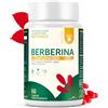 OFFICINE TRENTANI Berberina con Cromo Picolinato, Silimarina, Cardo Mariano, Coenzima Q10 | Berberina Complex con Pepe Nero, Integratore per Glicemia 60 Capsule Vegane Gastroresistenti, Dosi per 2 Mesi