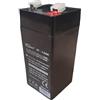 TRUSTECH Batteria AGM 4V 4,5Ah Ricaricabile al Piombo Sigillata - Batteria SLA Senza Manutenzione per Luci di Emergenza, Lampade Ricaricabili, Giocattoli e Dispositivi Elettronici
