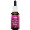 Equilibrio Donna Essenza Australian Bush Flowers 30ml