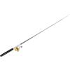 CFTGIW Pen Canna da Pesca con Mulinello, Set Telescopico Compatto per Pesca