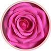 Generic Petalo di rosa 3D a quattro colori, opzioni di colore multiple, sviluppo del colore di lunga durata, non sbiadisce, facile da usare Sahngse Hql136 (B, 9 x 9 x 7 cm)