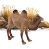 Scultura Di Animale Cammello Decorativo Modello Carino Cammello Del Deserto