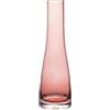 VASANA Vaso da fiori piccolo da 20 cm, in vetro trasparente, a collo largo, mini bocca, a stelo singolo, per decorazione domestica, soggiorno, ufficio e centrotavola (fiore escluso)