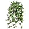Oairse Pianta artificiale da appendere, con vaso, piante artificiali come vere, per esterni, giardino, camera da letto, ufficio, davanzale, decorazione per interni, lunghezza 50 cm, verde chiaro