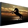 Ecowelle Riscaldatore a infrarossi Immagine | 1200 Watt | 60x120 cm | Riscaldamento a infrarossi| | Fatto in Germania