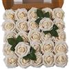 Ruiuzioong Fiori Rosa Artificiali 25 Pezzi Rose Finte Schiuma Aspetto Reale con Foglia e Gambo Regolabile per DIY Matrimoni Mazzi Nuziale Festa Casa Stanza Decorazioni (champagne, 25 Pezzi)