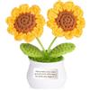 FCZIVA Amici Regali Girasoli All'Uncinetto Vaso Amicizia Apprezzamento Presente Donne Uomini Natale Compleanno Fiori Fatti A Mano Lavorati A Maglia Ispirazionale Ricordo Amica Amico Decorazioni (Amici)