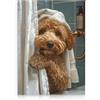 Dazzlewall Divertente tenda da doccia in tela da bagno con animali carini, arte artistica per bagno, 30,5 x 40,6 cm, senza cornice