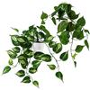 PASCH Set di 2 edera artificiale (33 cm) in vasi di ceramica bianca: piante artificiali come edera vera in vaso pianta artificiale in vaso pianta appesa edera artificiale