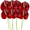 KABAKE 8 pezzi da 24 pollici di anturio artificiale fiore finto permanente per la casa tavolo centrotavola arrangiamento bouquet e foglia verde per feste di nozze (rosso)