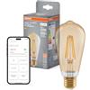 OSRAM Lampada LED SMART+ E53 6W E27 Filamento Edison Dorato | SMART+ MATTER Filament Dimmable Classic, LED Lamps, Oro, 15000 h, confezione da 1