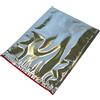 DUE ESSE S.N.C. DI SABATINI ALDO PZ 20 SACCHETTO TERMICO CM 23,5 X 29,5 COLORE ARGENTO BUSTA RICHIUDIBILE