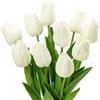 Dellyy Tulipani Artificiali 10 Pezzi, Fiori Realistici per Decorazione Soggiorno e Camera da Letto come Veri (Bianco)