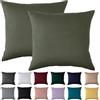 Beqnat Set di 2 federe 40 x 40 cm, 40 x 40 cm, verde oliva, per cuscini in 100% microfibra, non necessita di stiratura e senza pieghe con chiusura lampo