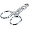 Alipis Pinza Apri Guscio in Acciaio Inox per Semi di Melone | Tre Fori di Misura, Forma Ergonomica a Forbice, Argento, per Semi di Girasole e Melone