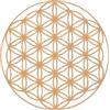 3defrance Fiore della Vita 12 cm in Filamento di Legno Biosourcé - Stampa 3D Professionale - Decorazione Geometria Sacra - Produzione Francese - Piccola Azienda Francese - Supporto Decorativo e Simbolico