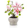 PASCH® Magnolia artificiale (35 cm) in vaso Urban Stone fatto a mano: magnolie artificiali in vaso, fiori artificiali come veri, magnolia artificiale con stile