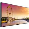 Ecowelle Riscaldatore a infrarossi Immagine | 1200 Watt | 60x120 cm | Riscaldamento a infrarossi| | Fatto in Germania