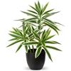 Oairse Piante finte da 41 cm in vasi neri, pianta artificiale di dracaena decorativa piante in vaso finte realistiche piante da interno per casa, bagno, soggiorno, cucina, mensola, decorazione da