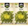 Semillas Batlle Battle - Semi Ecologici Insalata Scarola - Moss Curled (300 Semi - Bio) (Confezione da 2)