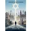 Publish my book My Year in New York Synagogues: A Personal Guide