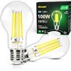 DiCUNO Lampadina LED E27 UltraEfficient Classe A, 7,5W=100W, 2700K, 2 Pezzi | Bianco caldo, 1575lm, Vetro, Non dimmerabile, Lampade a filamento Edison LED risparmio energetico per sospensione e applique