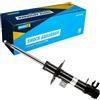 BILSTEIN Ammortizzatore Anteriore Dx A pressione del gas Compatibilità con FIAT 500 312 ammortizzatori 22-344656