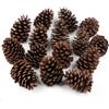 Larber 12 Pezzi Pigne Grandi Pigne Naturali 3"-4.5" Natale Artigianato Fai Da Te Albero Decorazione Domestica Autunno Inverno